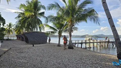 Thatched beach huts, coconut palms and a wooden pier at a Palawan island camp.